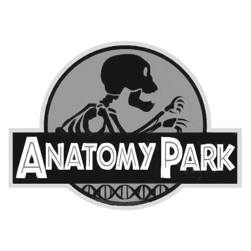 Anatomy Park